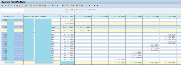 sap-report-ap-aging